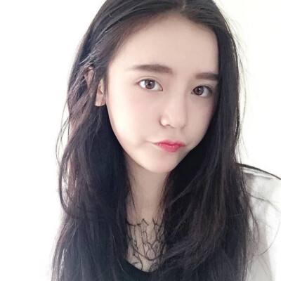 只只大冒险手机版下载